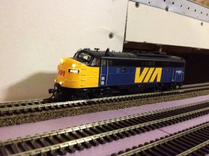 IMG_0093sm.JPG
