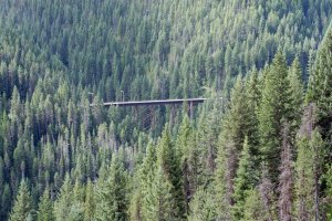 Hiawatha Trail 3.jpg