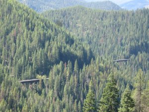 More trestles.jpg