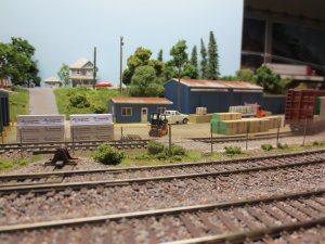 IMG_0675.JPG