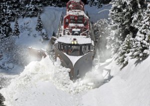 Snowshots_2a_2000.jpg