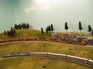 100_0136.jpg