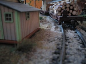 IMG_4639.JPG