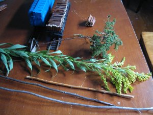 IMG_4723.JPG