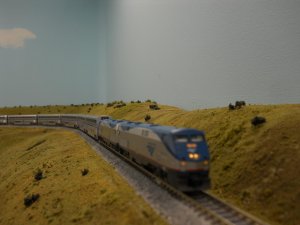 DSCN8428.jpg