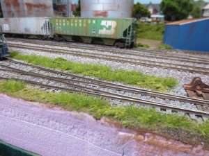 IMG_1067.jpg