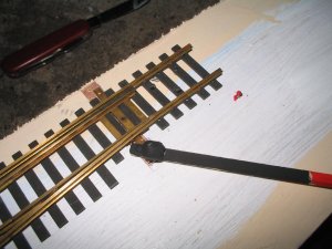 IMG_4795.JPG