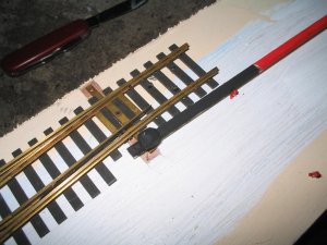 IMG_4796.JPG