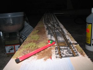 IMG_4802.JPG