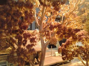 IMG_20131129_161616.jpg
