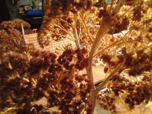 IMG_20131129_161718.jpg