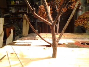 IMG_20131202_152504.jpg