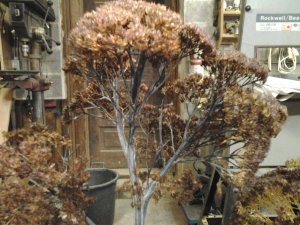 IMG_20131202_152602.jpg