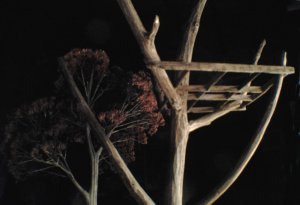 IMG_20131203_160542.jpg