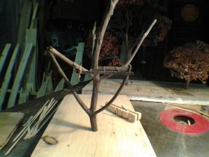 IMG_20131204_101525.jpg