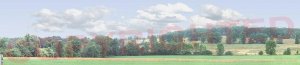 Farm backdrop.jpg