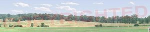 farm backdrop 2.jpg