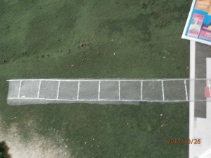 PA260029_1.jpg