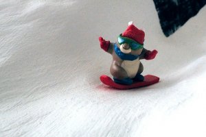 4953SNOWBUNNY1a.JPG