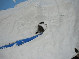 IMG_2205.jpg