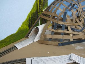IMG_2206.jpg