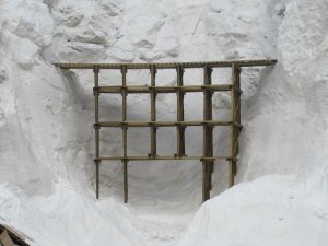 IMG_2241.jpg