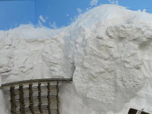 IMG_2243.jpg