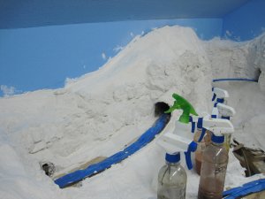 IMG_2253.jpg