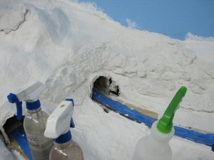 IMG_2254.jpg