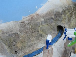 IMG_2257.jpg