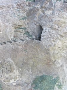 IMG_2264.jpg