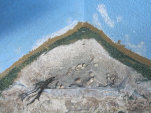 IMG_2268.jpg