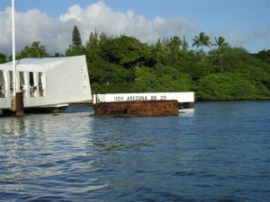 img43.jpg