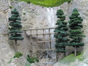 IMG_2300.jpg