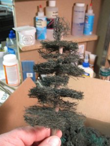 IMG_2328.jpg