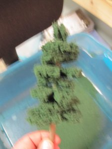 IMG_2332.jpg