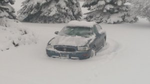 IMAG0606.jpg
