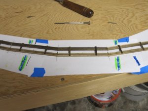 IMG_2339.jpg
