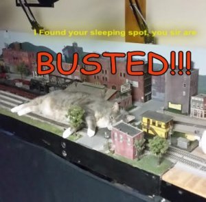 Tumbles BUSTED - Copy.jpg