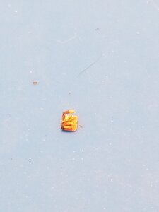 20200720_083140.jpg