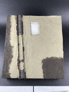 B8A1E253-D380-4BC2-827F-1B36F6A6463A.jpeg