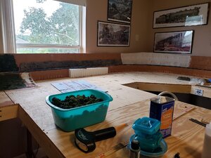 20201004_141405.jpg