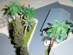 DSCN4062.JPG