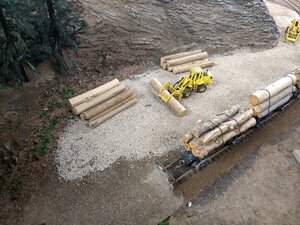 IMG_20201101_164357486.jpg