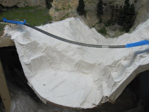 IMG_2376.jpg