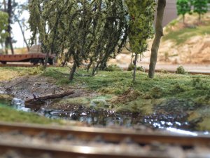 water, white pines 014.jpg