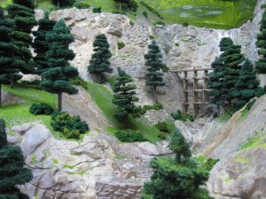IMG_2395.jpg