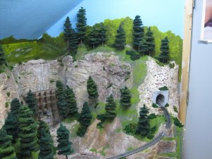 IMG_2397.jpg