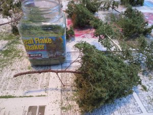 Scenic Trees 001.jpg