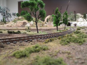 Scenic Trees 004.jpg